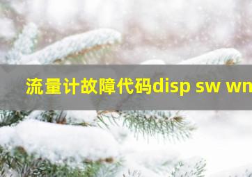 流量计故障代码disp sw wn9